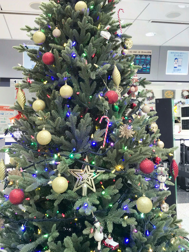 企業を巻き込んだ「丸の内・大手町」のクリスマスツリー 装飾傾向