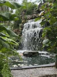 คาเฟ่ U FORESTS แกลง 