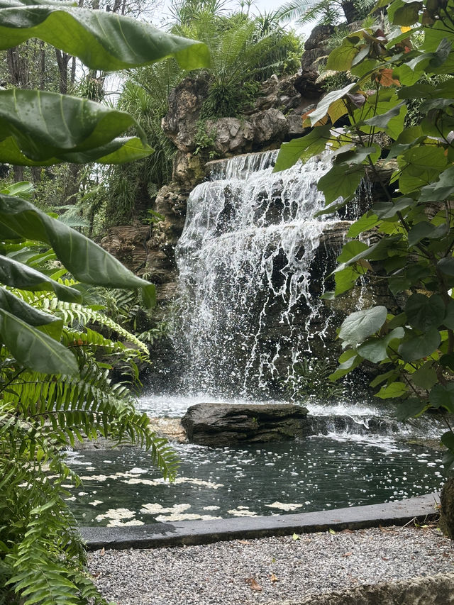 คาเฟ่ U FORESTS แกลง 