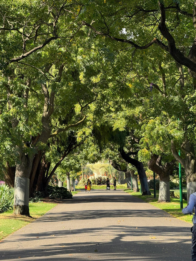 【Carlton Gardens｜墨爾本的歐式綠肺】