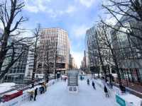 Snow, Soup, and Solo Adventures: My Escape to Sapporo