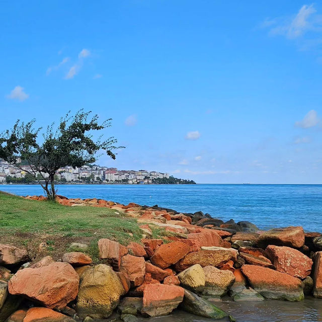 Seaside Solitude: My Solo Escape to Ünye