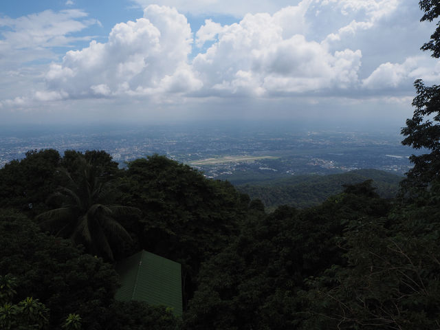 ดอยแม่สลอง วิวไร่ชาและประวัติศาสตร์จีนยูนนาน