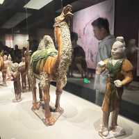 🏛 Henan Museum — Treasures of China’s Heartland