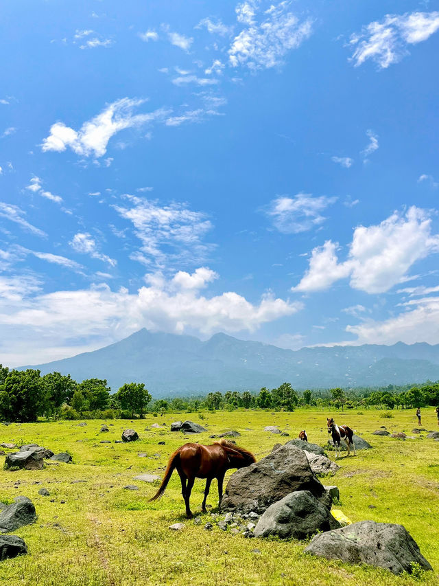 Padang Savana Tianyar in Bali