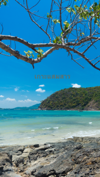 เที่ยวเกาะ-หาด สัตหีบ ชลบุรี