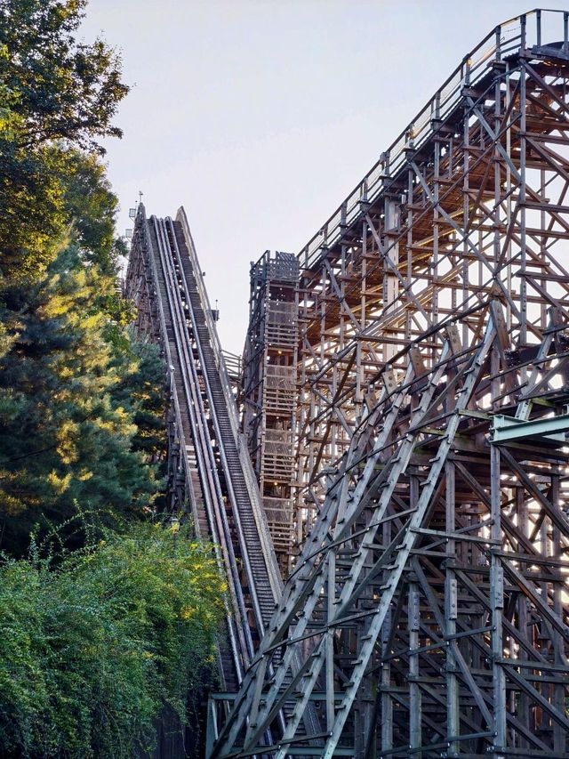Woodland Thrills🎢