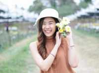 เที่ยวสวนดอกไม้บิ๊กเต้