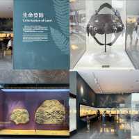 เยี่ยมชม Shanghai Natural History Museum 🦋