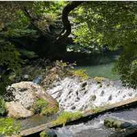 Cheonjiyeon Waterfall