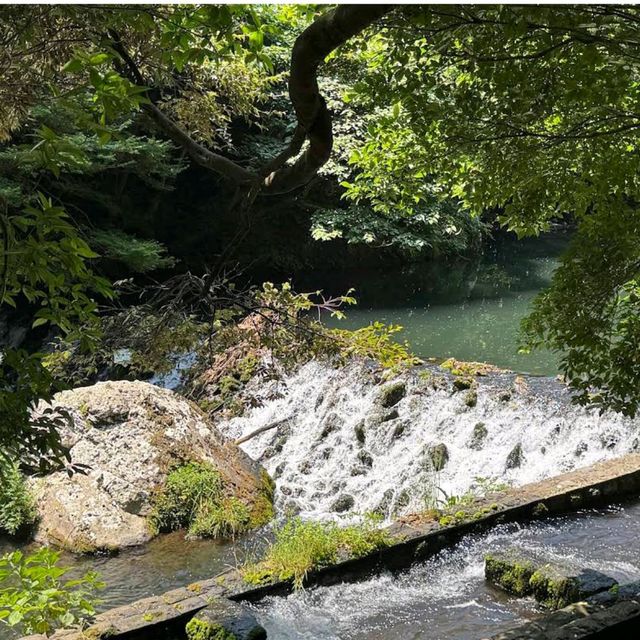 Cheonjiyeon Waterfall