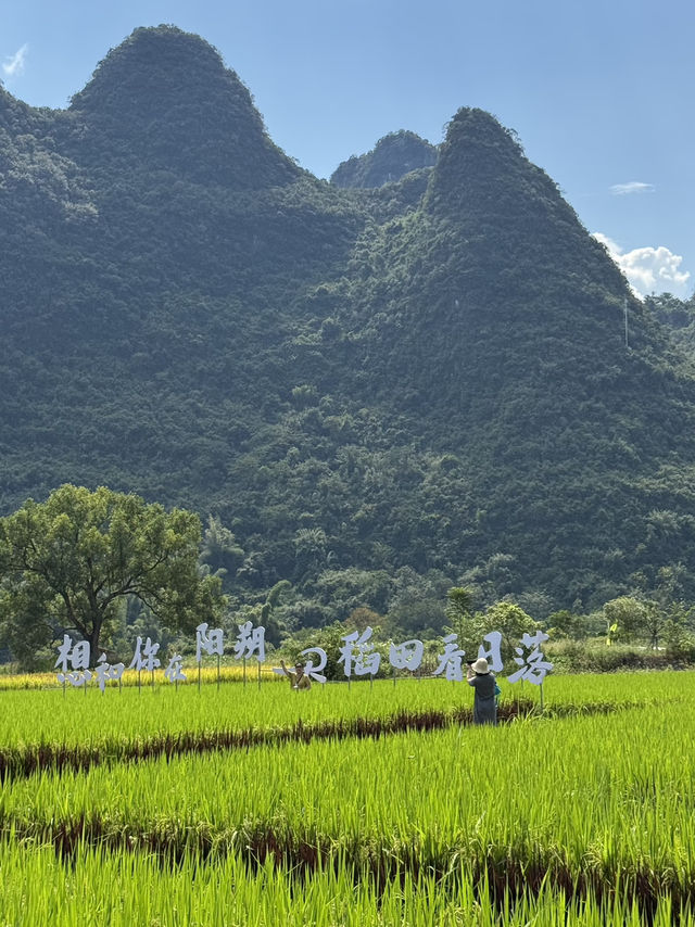 桂林陽朔必玩自然美景🌳  