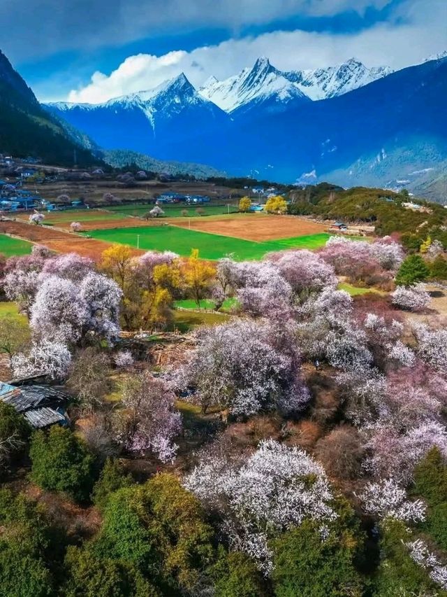 Tibetan Plateau