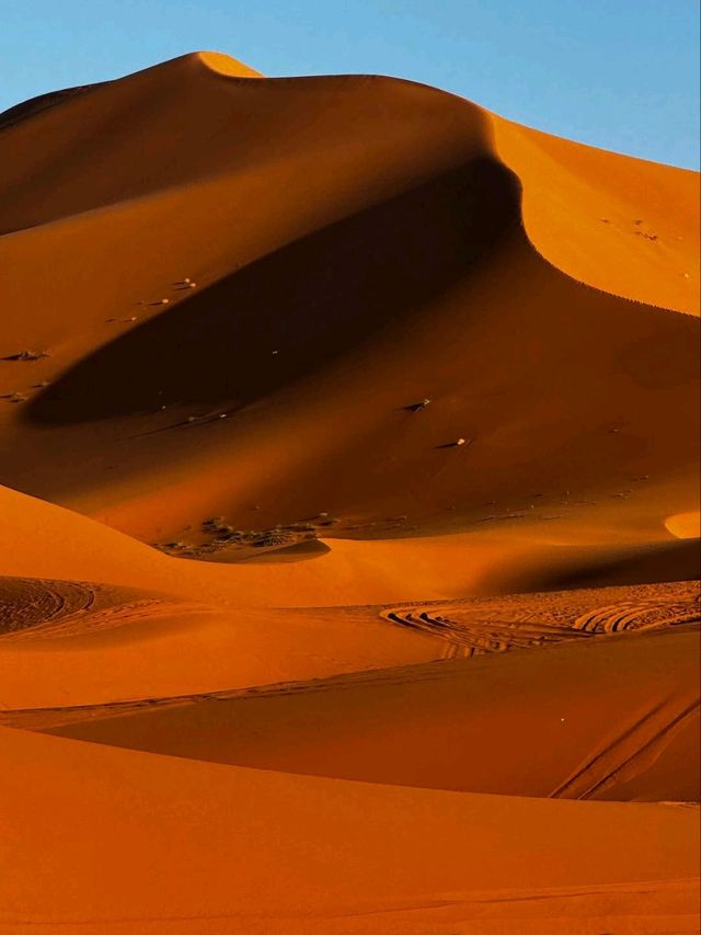 Immersed in the Heart of the Sahara