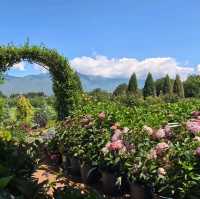 親子遊好去處！靚爆花海🌻聽花谷-麗江百花園