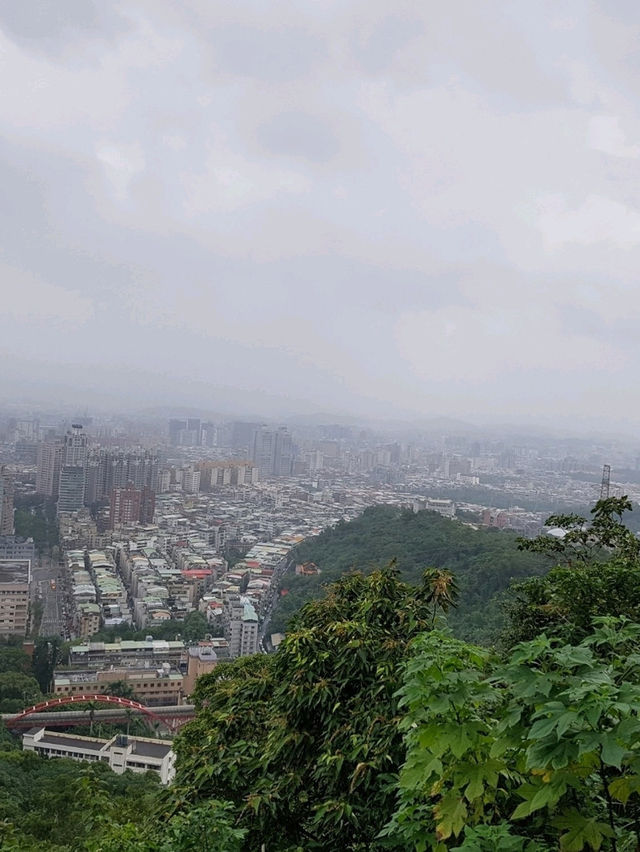From night markets to skyscrapers — Taipei never sleeps. 🌃✨
