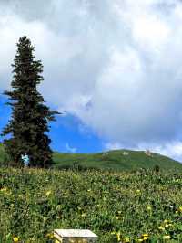 Step Into the Heart of Tianshan