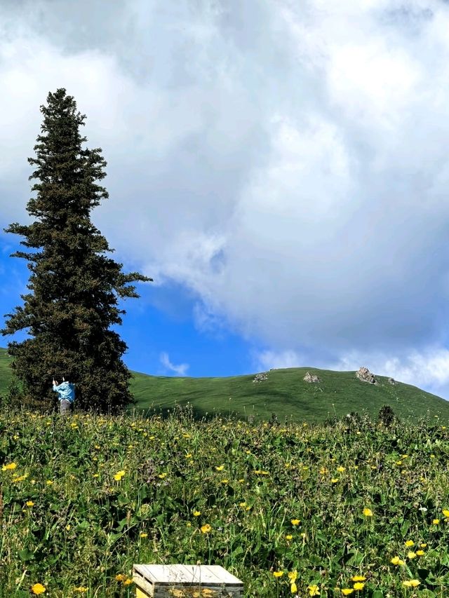 Step Into the Heart of Tianshan