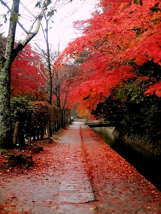 京都旅必須スポット📍南禅寺