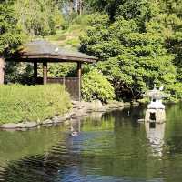 Dunedin Botanic Garden