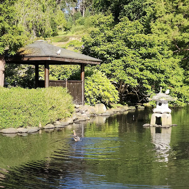 Dunedin Botanic Garden