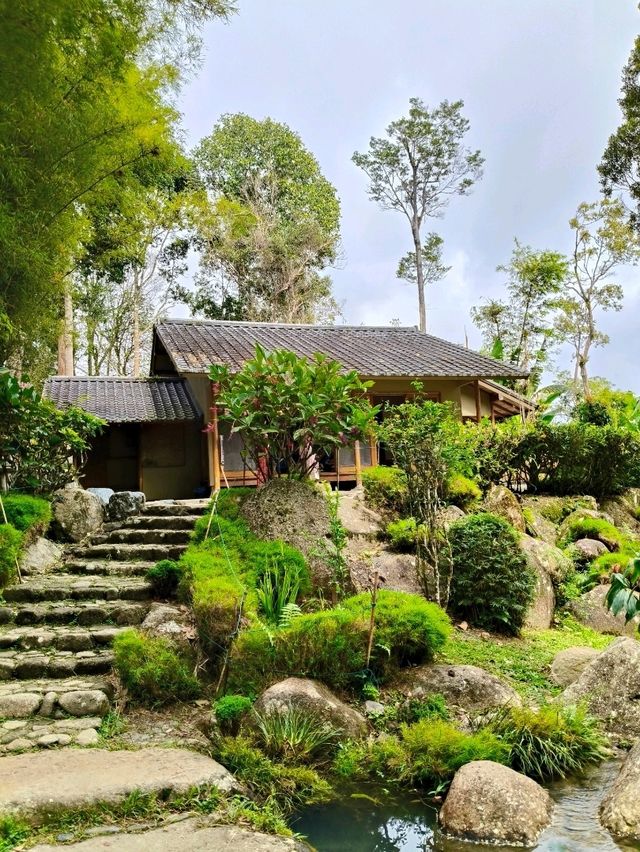 Discover Botanical Wonders🌱Japanese Style Village