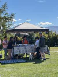 【ニュージーランド・クイーンズタウン】地元の魅力がぎゅっと詰まった「Remarkables Market」🍯🥖🎶