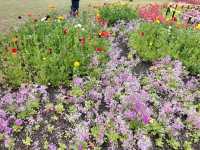 💐Floriade Day Part 1💐