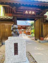 【世田谷】🐈幸運の招き猫だらけ✨