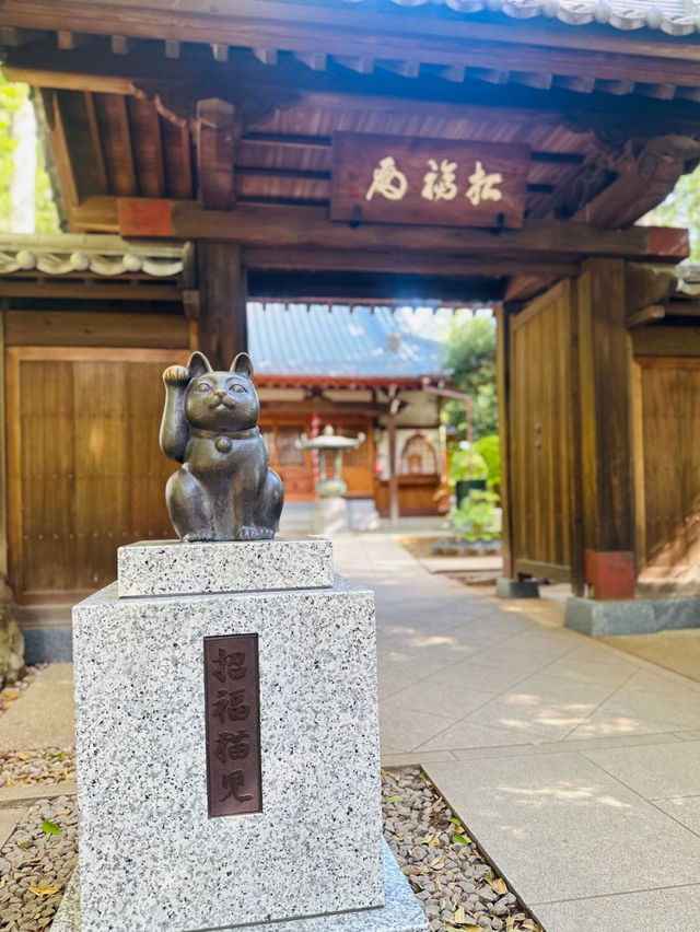 【世田谷】🐈幸運の招き猫だらけ✨