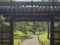 【東京・駒込】六義園で都会の静寂を満喫！四季折々の日本庭園美！