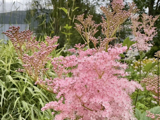 Arctic–Alpine Botanic Garden