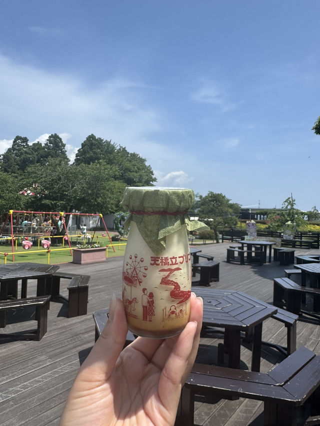 【京都】絶景！！天橋立|天橋立ビューランド🎡