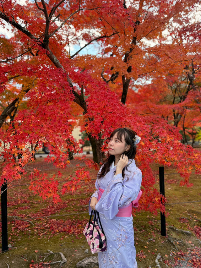 🍁 Autumn Magic in Arashiyama, Kyoto: Your Must-Go Spot!