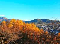 Autumn Serenity at Arakurayama Sengen Park, Japan