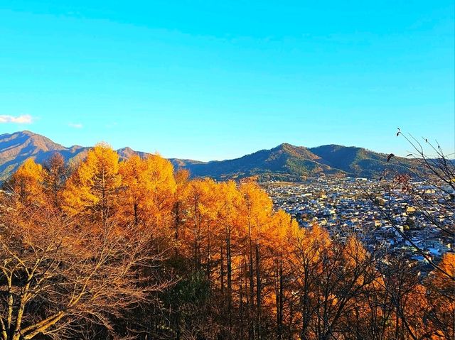 Autumn Serenity at Arakurayama Sengen Park, Japan