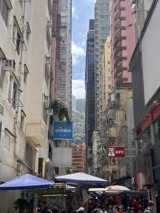 Modern Hong Kong Vibes✨