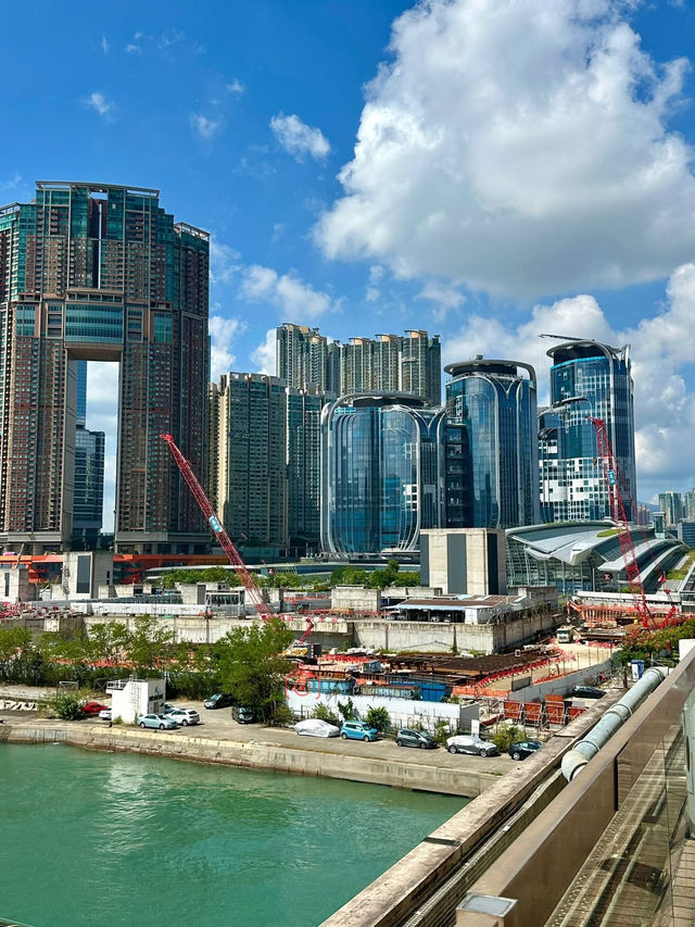 The Gilded Port: Where Commerce Meets the Camera 