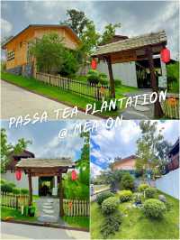 🍃 PASSA TEA PLANTATION @ MEA ON 🍃