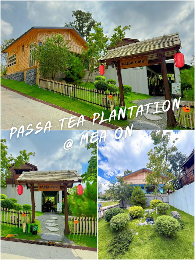 🍃 PASSA TEA PLANTATION @ MEA ON 🍃