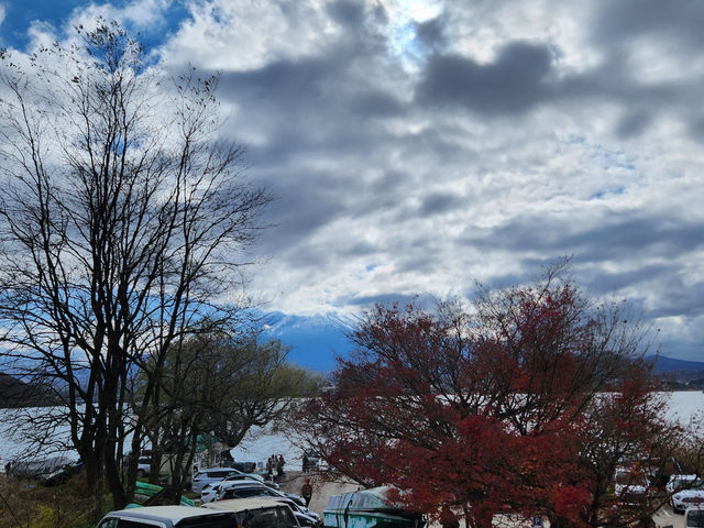 楓葉限定！俯瞰山河靚景  
