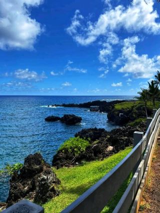 하나로 가는 길 – 마우이의 야생미의 영혼