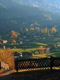 Swiss Peaks Dream🍂