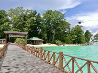 魚類天堂🐟 西巴丹島－馬來西亞的水下天堂
