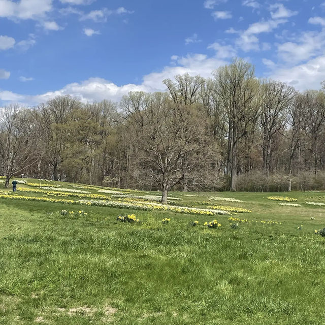 Winterthur Museum, Garden & Library