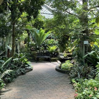 Garfield Park Conservatory – A Lush Urban Oasis in Indianapolis