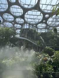 在上海城市裡的祕密仙境 🌈🌺 