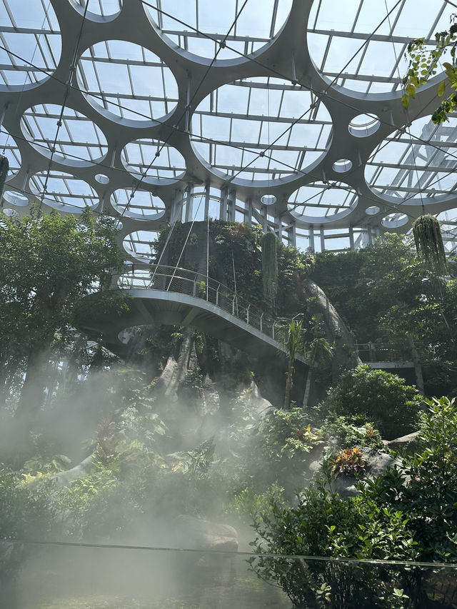 在上海城市裡的祕密仙境 🌈🌺 