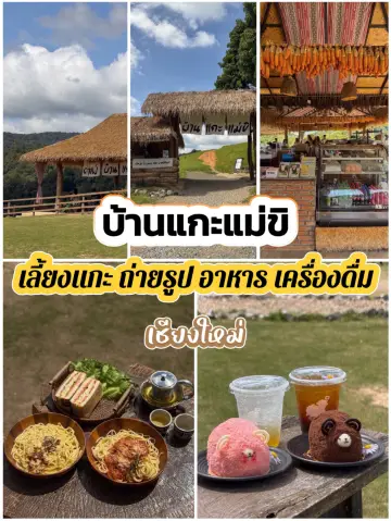 Baan Kae Mae Khi — a popular mountain view cafe