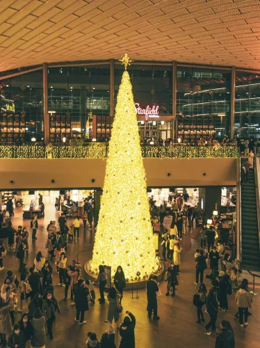 서울 도심에서 만나는 낭만가득 크리스마스 트리 “별마당도서관”🎄